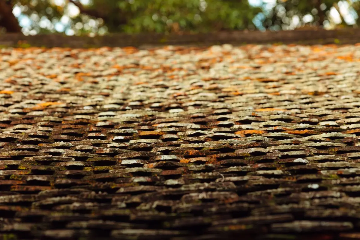 Emergency Tarping & Winter Dry-In in Prescott, AZ
